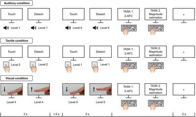 Surface Stickiness Perception by Auditory, Tactile, and Visual Cues